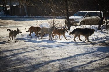 post-25274 thumbnail