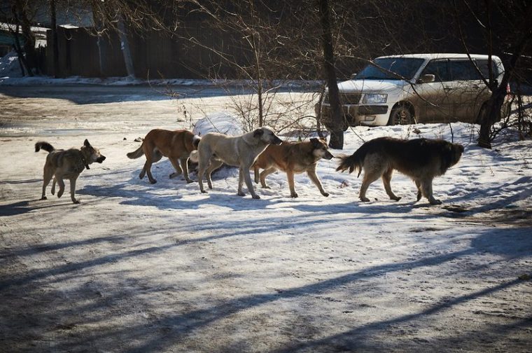 post-22459 thumbnail