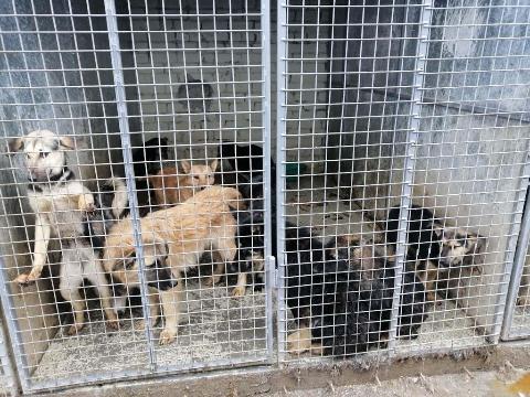 post-32471 thumbnail