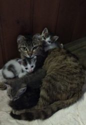 post-12468 thumbnail