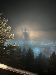 post-18042 thumbnail