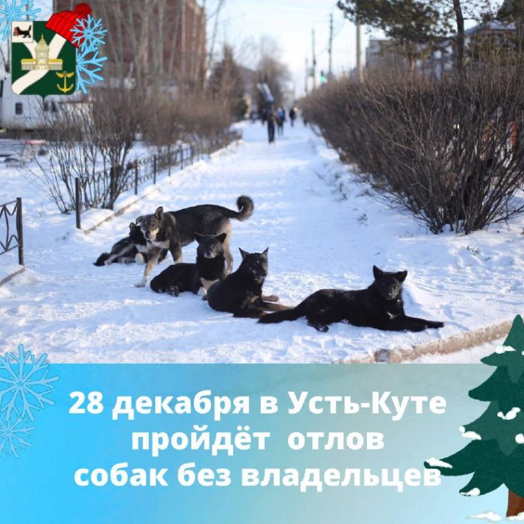 post-19281 thumbnail