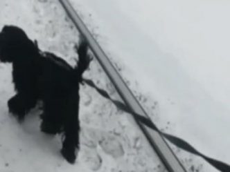 post-20414 thumbnail