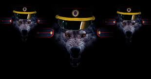 post-21496 thumbnail