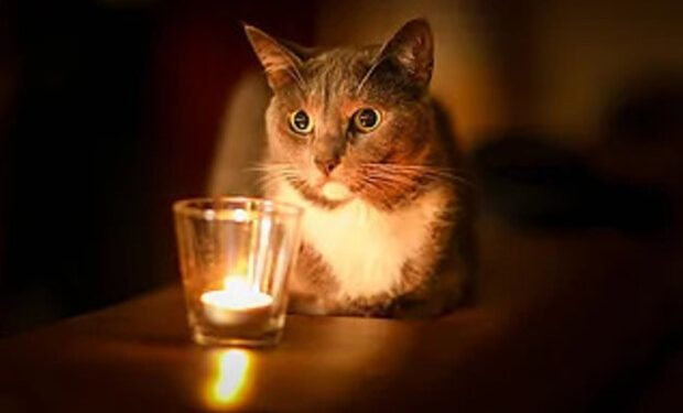 post-32584 thumbnail