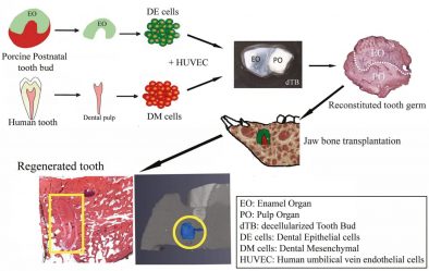 post-24100 thumbnail