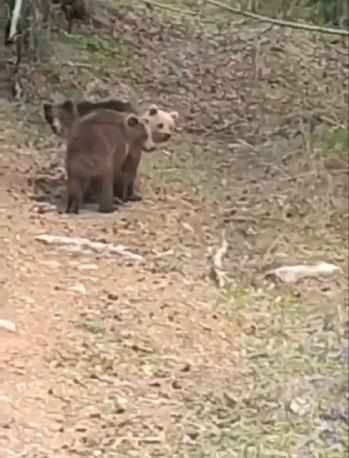 post-25144 thumbnail