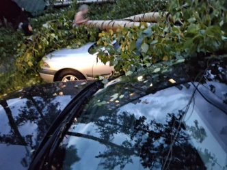 post-26728 thumbnail