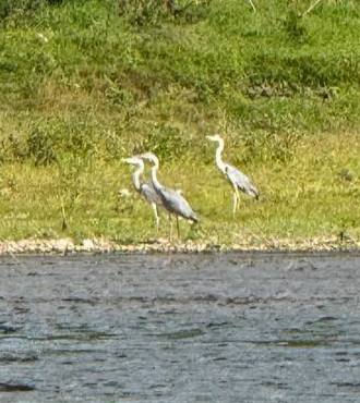 post-29694 thumbnail