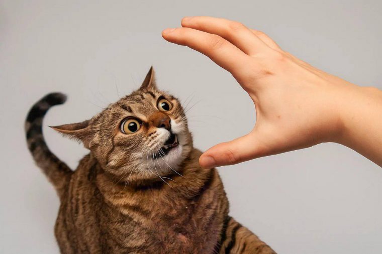 post-32149 thumbnail