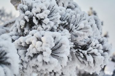 post-32422 thumbnail