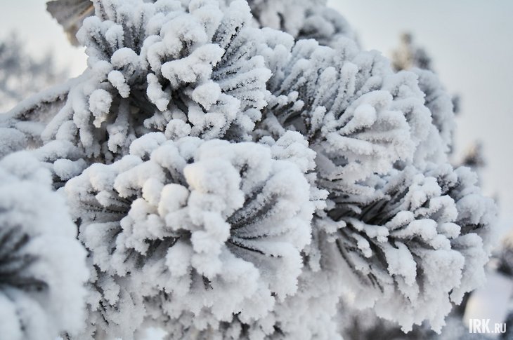 post-32422 thumbnail